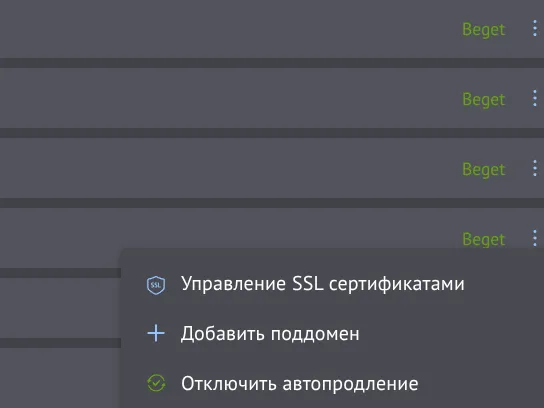 Меню домена: «Управление SSL-сертификатами»